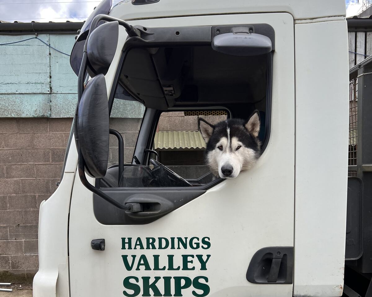 Contact Harding's Valley Skips – the yard husky in a Harding's Valley Skips wagon